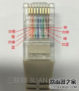 怎樣查看網線線序？手把手教你正確識別水晶頭線序的方法