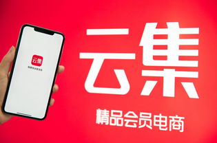 巨頭的圍搶中，會員電商云集的“成長飛輪”還在加速